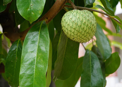 機器產生的替代文字: 