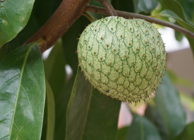 機器產生的替代文字: 