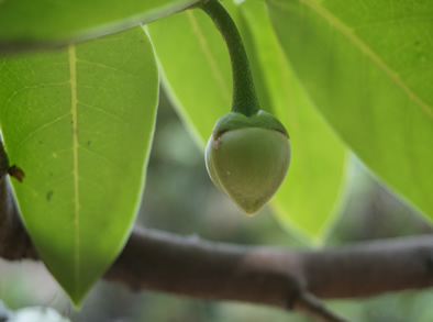 機器產生的替代文字: 