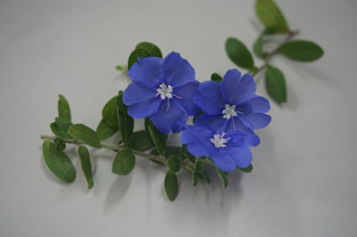 機器產生的替代文字: 