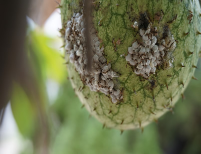 機器產生的替代文字: 